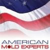 American Mold Experts Logo