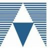 American Outcomes Management Logo