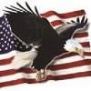 American Roofing & Exteriors Logo