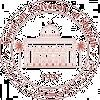 American University of Sharjah Logo