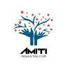 Amiti Consulting Logo