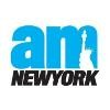 amNewYork Logo