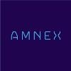 Amnex Infotechnologies Logo