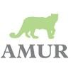 Amur Equipment Finance Logo