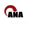 ANA Link Logo