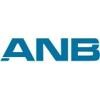 ANB Consulting Company Logo