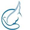 Andrew Wommack Ministries Logo