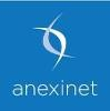 Anexinet Logo