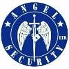 Angel Security Logo