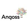 Angoss Software Logo