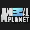 Animal Planet Logo