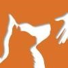 Animal Samaritans SPCA Logo