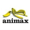 Animax Logo