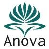 Anova Law Group Logo