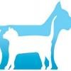 Ansley Animal Clinic Logo