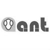 ANT AUTOMATION Logo
