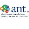 Ant Marketing Logo