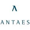 Antaes Consulting Logo