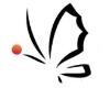 APEI Les Papillons Blancs Logo