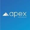 Apex Brand Management Logo
