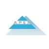 APEX Enterprises Logo