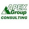 Apex Group Consulting Logo