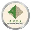 APEX Hospice and Palliative Care Logo