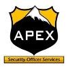 APEX Security Logo
