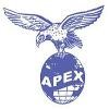 Apex Technology Group Logo