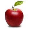 Apple Pie Consulting & Hr Services Logo