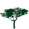 Arbor Financial Group Logo
