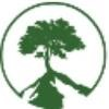 Arbor Vita Logo