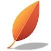 ArborBridge Logo