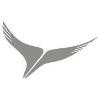 Arik Air Logo