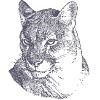 Arizona-Sonora Desert Museum Logo