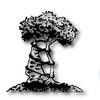 Arrowhead Orthopaedics Logo