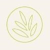 Art of Wax Logo