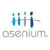 ASENIUM CONSULTING AND OUTSOURCING SOLUTIONS Logo