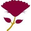 Aster Assisted Living & Memory Care Communities Logo