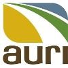 Auri Logo