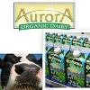 Aurora Organic Dairy Logo