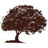 Austin Oaks Hospital Logo