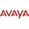 Avaya Government Solutions Logo