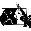 Avian and Exotic Clinic of Palm City Logo