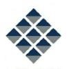 Avidex Logo