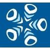 AVL India Software Logo
