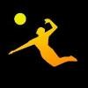 AVP Logo