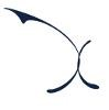 Axon Partners Group Logo