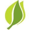 Ayla Networks Logo