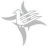 Azadi Fine Rugs Logo